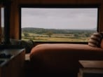 Window views